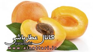 apricot-2