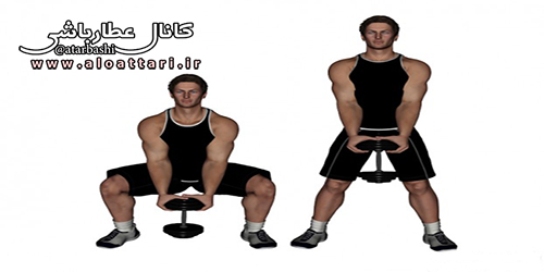 dumbbell-standing-squat-between-legs